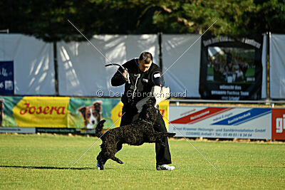 Nourina Baloe van Eltons Home