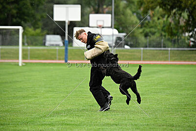 Nourina Baloe van Eltons Home