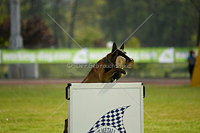 Nuke House Of Mechelaar