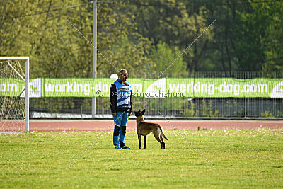 Nuke House Of Mechelaar