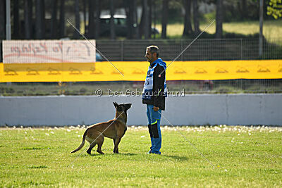 Nuke House Of Mechelaar