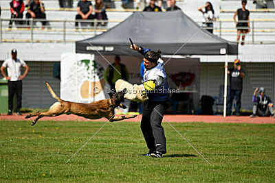 Nuke House Of Mechelaar
