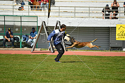 Nuke House Of Mechelaar