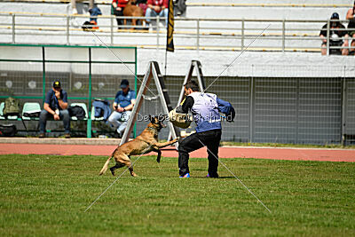 Nuke House Of Mechelaar