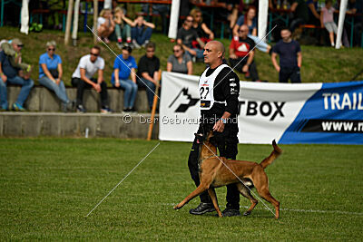 Néron de la Plaine des Cheyennes