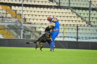 O'Shrek von der Friesenklippe