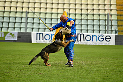 Obi Wan Kenobi vom Wolfsblick