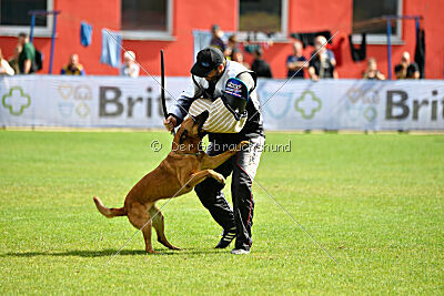 Odysseya de la Mamba Noire