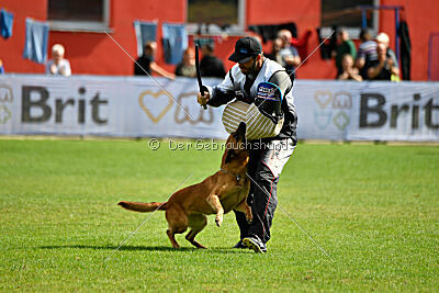 Odysseya de la Mamba Noire