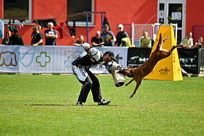 Odysseya de la Mamba Noire