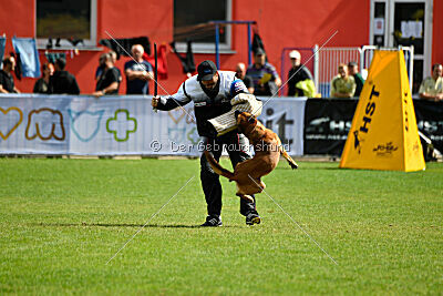 Odysseya de la Mamba Noire