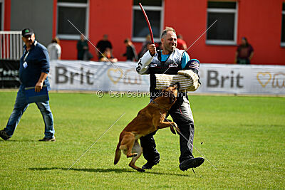 Odysseya de la Mamba Noire