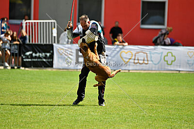 Odysseya de la Mamba Noire