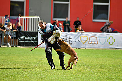 Odysseya de la Mamba Noire