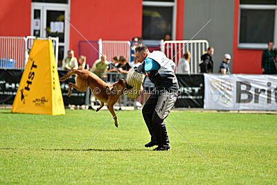 Odysseya de la Mamba Noire