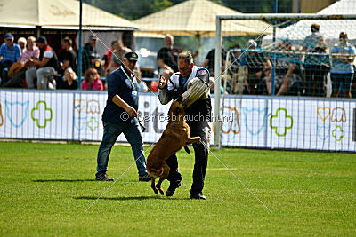 Odysseya de la Mamba Noire