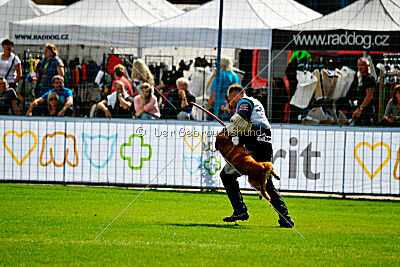 Odysseya de la Mamba Noire