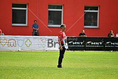 Odysseya de la Mamba Noire