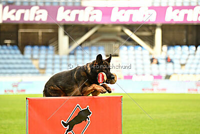 Oetzi aus der Königshöhle