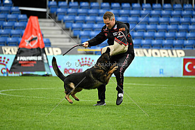 Oetzi aus der Königshöhle