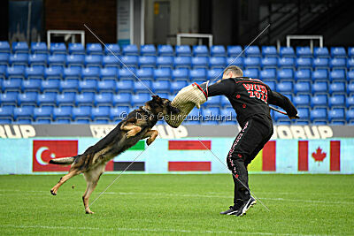 Oetzi aus der Königshöhle