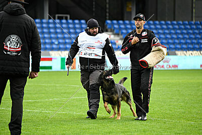 Oetzi aus der Königshöhle