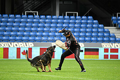 Oetzi aus der Königshöhle