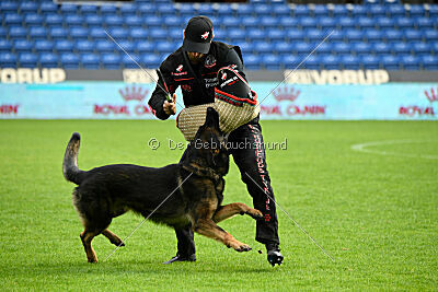 Oetzi aus der Königshöhle