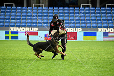 Oetzi aus der Königshöhle