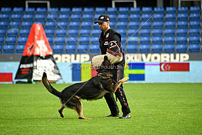 Oetzi aus der Königshöhle