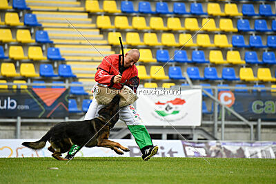 Oetzi aus der Königshöhle