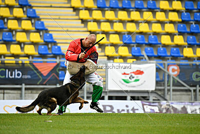 Oetzi aus der Königshöhle