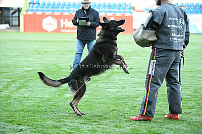 Oetzi aus der Königshöhle
