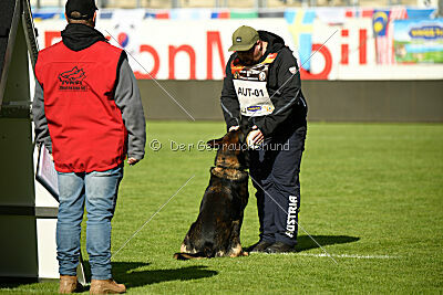 Oetzi aus der Königshöhle