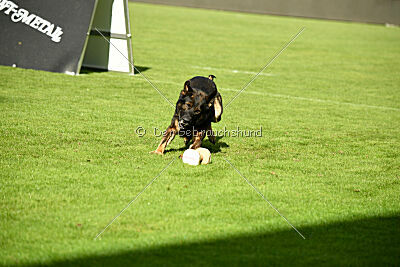 Oetzi aus der Königshöhle
