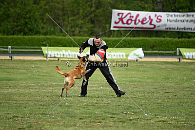 Ojemine vom Mecklenburger Büffel