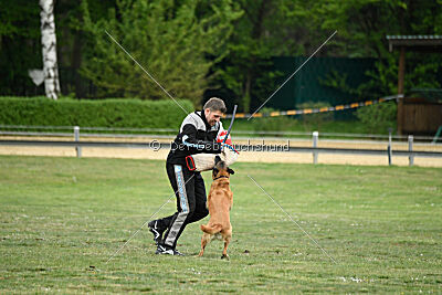 Ojemine vom Mecklenburger Büffel