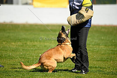 Oke van het Dreiland