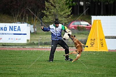 Oke van het Dreiland