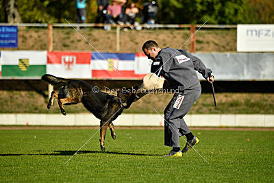 Ole vom Osterburg Quell