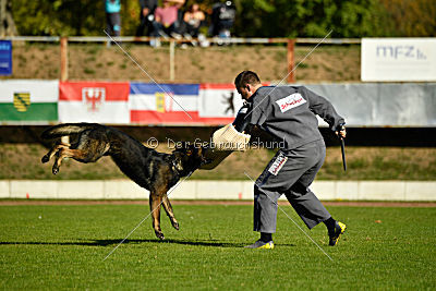 Ole vom Osterburg Quell