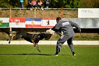 Ole vom Osterburg Quell