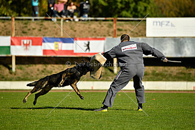 Ole vom Osterburg Quell