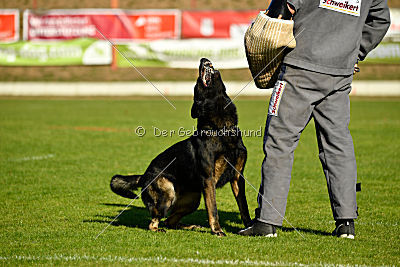 Ole vom Osterburg Quell