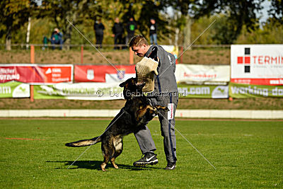 Ole vom Osterburg Quell