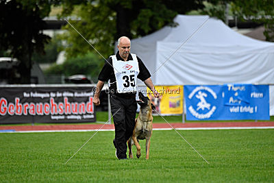 Omen vom Mecklenburger Büffel