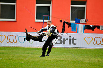 One Devil von der Herdergang