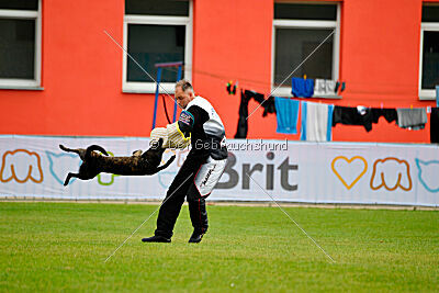 One Devil von der Herdergang