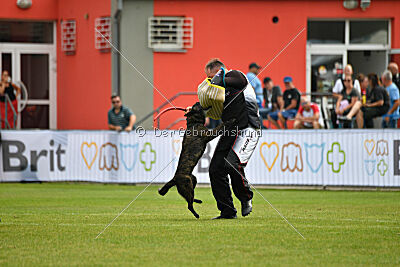 One Devil von der Herdergang