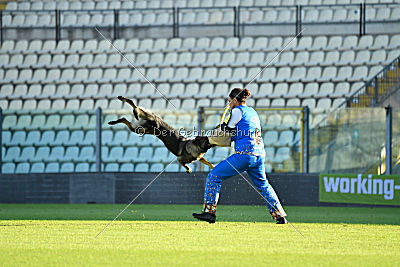 Onyxia van Blutsenhof